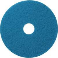 Floor Pads, 12", Cleaning/Scrubbing, Blue Absolute Business Supply