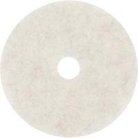 Natural Blend Pad, 17", Burnishing, White Absolute Business Supply