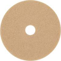 Trizact Diamond TZ Abrasive Strip, 20", Burnishing, Beige Absolute Business Supply