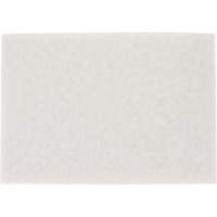 TopLine Speed Floor Pad, 14" x 20", Buffing/Cleaning/Polish, White Absolute Business Supply