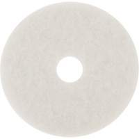 Floor Pad, 10", Buffing/Cleaning/Polish, White Absolute Business Supply