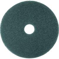 Hi-Performance Pad, 11", Cleaning/Scrubbing, Blue Absolute Business Supply
