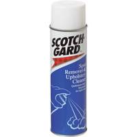 Floor & Carpet Care