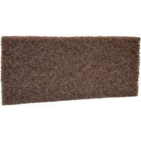 Coarse Scrub Pad, 10" L x 4-1/2" W Absolute Business Supply