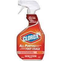 Nettoyant d&eacute;sinfectant tout usage &agrave; pulv&eacute;riser, 946 ml, Bouteille &agrave; g&acirc;chette Absolute Business Supply
