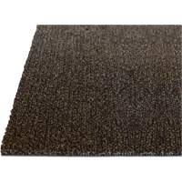 Tapis dint&eacute;rieur Palliser, Essuie-pieds/grattoir, 3-1/2' x 6' x 5/16", Anglis Absolute Business Supply