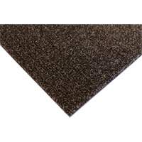 Tapis dint&eacute;rieur Palliser, Essuie-pieds/grattoir, 3-1/2' x 6' x 5/16", Anglis Absolute Business Supply