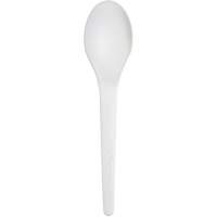 Plantware Renewable and Compostable Spoon Absolute Business Supply