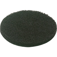 Floor Pad, Scrubbing, Green Absolute Business Supply