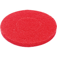 Floor Pad, Polish, Red Absolute Business Supply