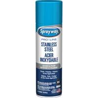 Nettoyant & polis pour acier inoxydable Pro Line, 15 oz, Canette a&eacute;rosol Absolute Business Supply