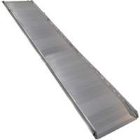Rampe de promenade en aluminium, Capacit&eacute; de 1000 lb, 38" la x 193-1/8" lo Absolute Business Supply