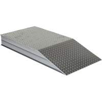 Rampes de nivellement de gros calibre Absolute Business Supply
