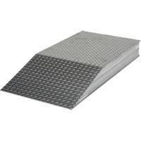 Rampes de nivellement de gros calibre Absolute Business Supply