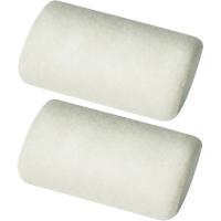 Manchons pour rouleau de calibre professionnel, Nap 9,525 mm (3/8"), 101,6 mm (4") l Absolute Business Supply