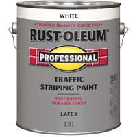 Peinture pour traçage de lignes de circulation, Blanc, 3,78 L, Cruche Absolute Business Supply