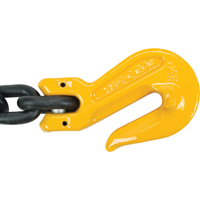 Chain Slings, 80 Chain, Double Legs, Oblong & Slip Hooks, 5/8" x 10' Absolute Business Supply
