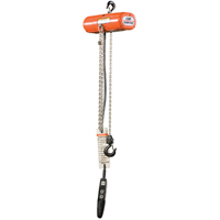 Palans &eacute;lectriques ShopStar, Lev&eacute;e 10', Capacit&eacute; 250 lb (0,125 tonne), 16 pi/min Absolute Business Supply