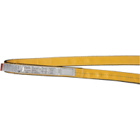 Nylon Slings, Double Ply, Endless, Type 5, 4" W x 3' L, 22000 lbs. Vertical Load Limit Absolute Business Supply
