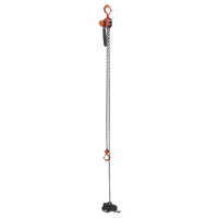 Mini palan &agrave; levier, Lev&eacute;e 15', Cabacit&eacute; 500 lb (0,25 tonne), Chaîne en Acier Absolute Business Supply