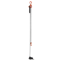 Mini palan &agrave; levier, Lev&eacute;e 15', Cabacit&eacute; 500 lb (0,25 tonne), Chaîne en Acier Absolute Business Supply
