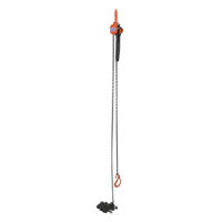 Mini palan &agrave; levier, Lev&eacute;e 15', Cabacit&eacute; 1000 lb (0,5 tonne), Chaîne en Acier Absolute Business Supply