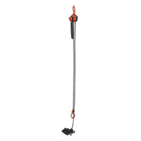 Mini palan &agrave; levier, Lev&eacute;e 15', Cabacit&eacute; 1000 lb (0,5 tonne), Chaîne en Acier Absolute Business Supply