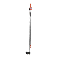 Mini palan &agrave; levier, Lev&eacute;e 15', Cabacit&eacute; 1000 lb (0,5 tonne), Chaîne en Acier Absolute Business Supply