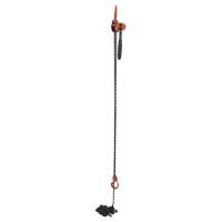 Mini palan &agrave; levier, Lev&eacute;e 20', Cabacit&eacute; 1000 lb (0,5 tonne), Chaîne en Acier Absolute Business Supply
