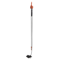 Mini palan &agrave; levier, Lev&eacute;e 20', Cabacit&eacute; 1000 lb (0,5 tonne), Chaîne en Acier Absolute Business Supply