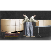 Plateformes de levage manuelles Pallet Pal, 43-5/8" lo x 43-5/8" la, Capacit&eacute; 4500 lb Absolute Business Supply