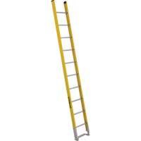 &eacute;chelle simple &agrave; une section - S&eacute;rie 6100, 10', Fibre de verre, 375 lb, CSA calibre 1AA Absolute Business Supply