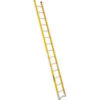 &eacute;chelle simple &agrave; une section - S&eacute;rie 6100, 14', Fibre de verre, 375 lb, CSA calibre 1AA Absolute Business Supply