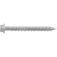 Vis de scellement Aggre-Gator, 1/4" x 1-1/4" lo, Acier inoxydable Absolute Business Supply