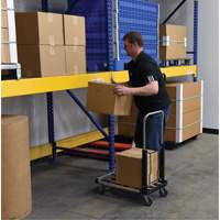 Chariot &agrave; plateforme repliable, Acier inoxydable, 300 lb, 28" lo x 16" la, Hauteur 33-1/2" Absolute Business Supply