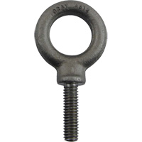 Boulon &agrave; oeil en acier alli&eacute;, 1" dia, 1-1/4" lo, 1480 lb (0,74 tonnes)/1480 lb capacit&eacute; Absolute Business Supply