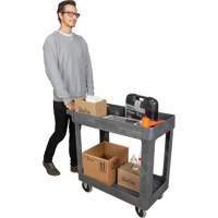 Chariot utilitaire pour l'entretien, 2 tiers, 16-1/2" x 32-1/2" x 34-1/2", Capacit&eacute; 550 lb Absolute Business Supply