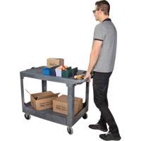 Chariot utilitaire pour l'entretien avec tablette plate, 2 tiers, 25-1/4" x 32-1/4" x 44", Capacit&eacute; 550 lb Absolute Business Supply