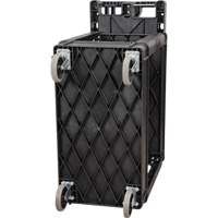 Chariot utilitaire, 2 tiers, 17-1/8" x 33-1/2" x 37-5/8", Capacit&eacute; 550 lb Absolute Business Supply