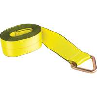 Logistic Strap, Delta Ring, 30' W x 4" L, 5400 lbs. (2449 kg) Working Load Limit Absolute Business Supply