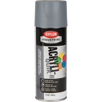 Laque industrielle Acryli-Quik, Gris, Tr&egrave;s mat, 12 oz, Canette a&eacute;rosol Absolute Business Supply