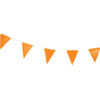 Fanions, 60' lo, Orange Absolute Business Supply