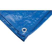 Tarp, Standard Duty, Blue, 7' x 5' x 4 mils Absolute Business Supply