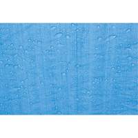 Tarp, Standard Duty, Blue, 7' x 5' x 4 mils Absolute Business Supply