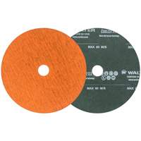 Coolcut XX Sanding Disc, Aluminum Oxide/Ceramic, 24, 5" Dia x 7/8" Arbor Absolute Business Supply