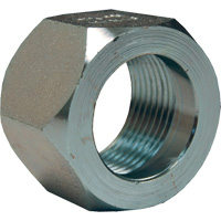 &eacute;crou hexagonal de minage Dixon, 1", Zingu&eacute;, Filetage NPT Absolute Business Supply