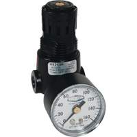 R&eacute;gulateur miniature R04 Wilkerson, 1/4" NPT, PSI max. de 300 psi, Standard Absolute Business Supply