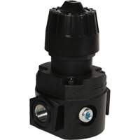R&eacute;gulateur compact R16 Wilkerson, 1/4" NPT, PSI max. de 300 psi, Standard Absolute Business Supply