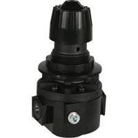 R&eacute;gulateur Wilkerson R26, 1/2" NPT, PSI max. de 300 psi, Standard Absolute Business Supply