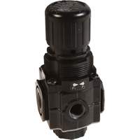 Collecteur de r&eacute;gulateur de s&eacute;rie 1, 1/4" NPT, PSI max. de 150 psi, Standard Absolute Business Supply